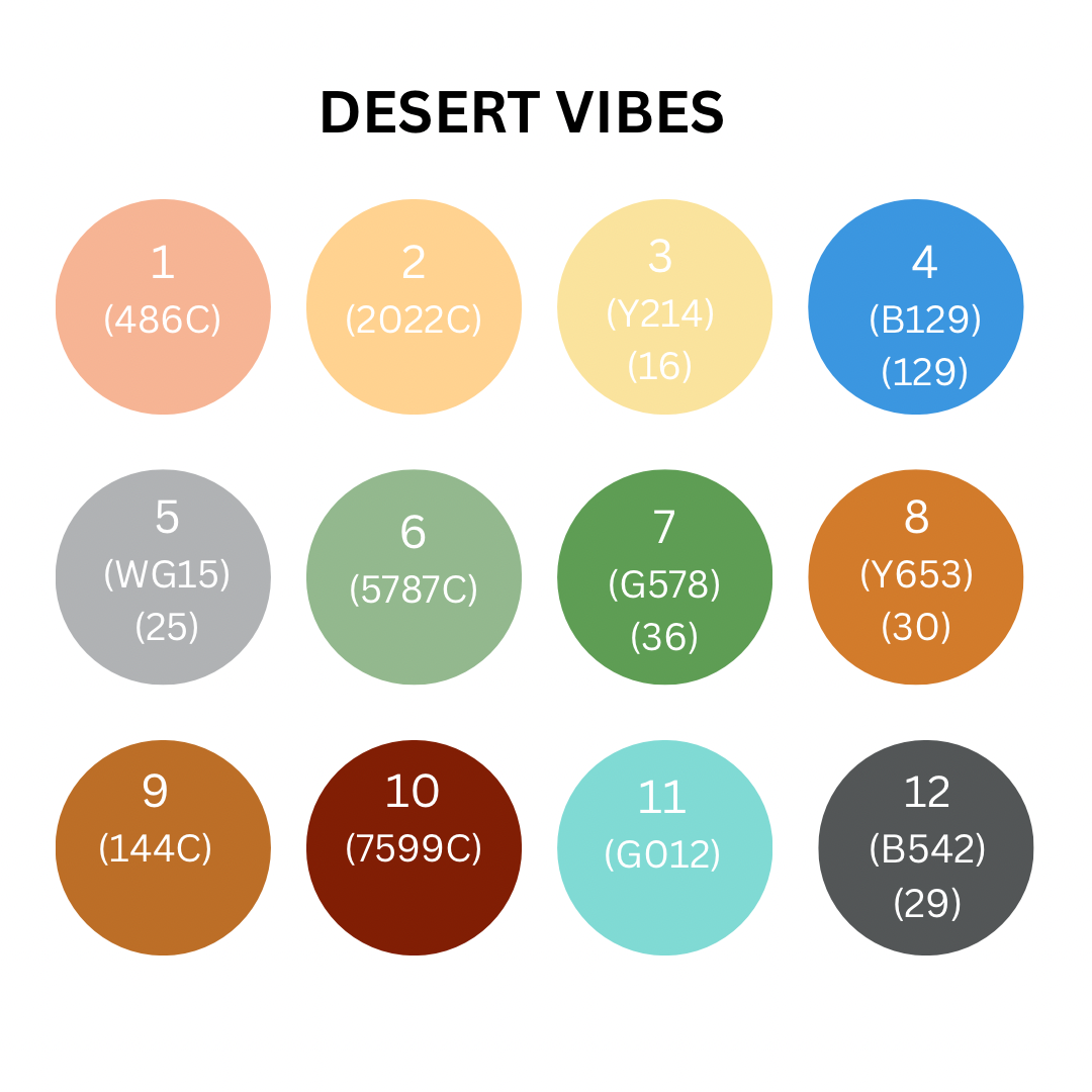 Desert Vibes Brush Tip Acrylic Paint Pens - Set of 12