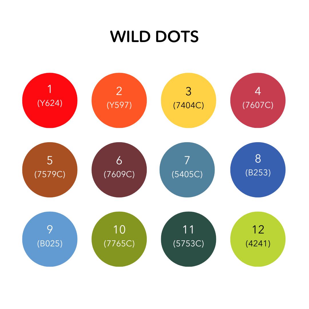 Wild Dots Acrylic Paint Pens - Set of 12 Earth Colours