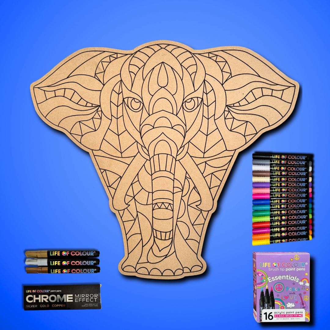 Life of Colour Elephant Painting Kit