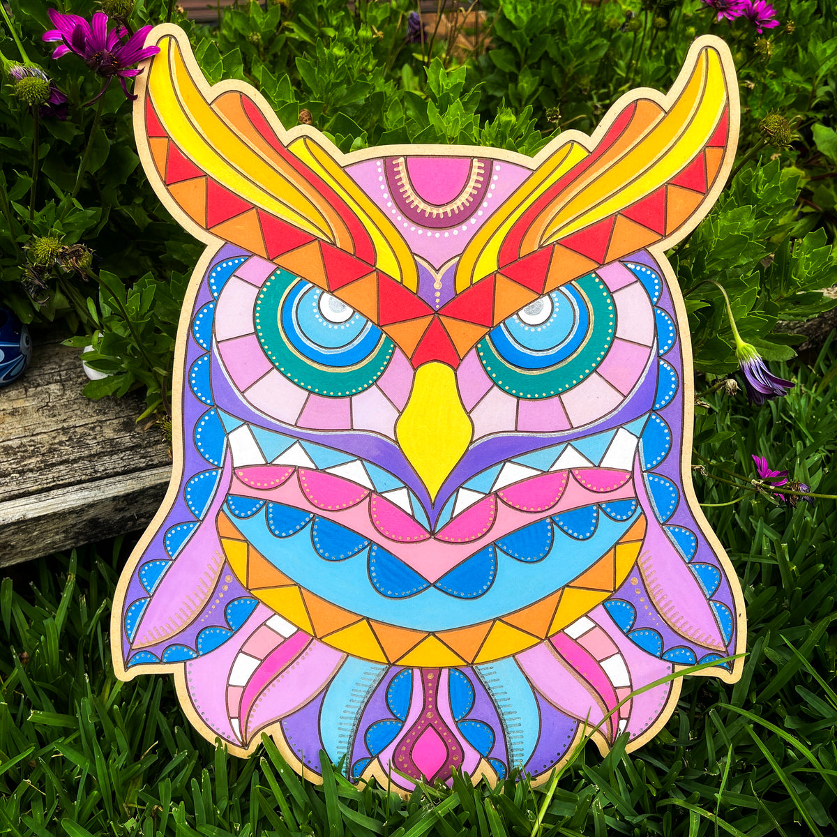 Life of Colour Owl Painting Kit