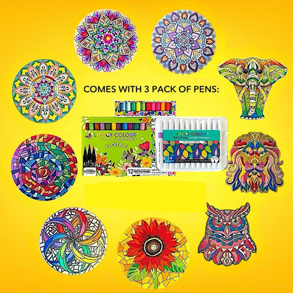 Life of Colour Ultimate Experience Painting Bundle - Bundle of 9