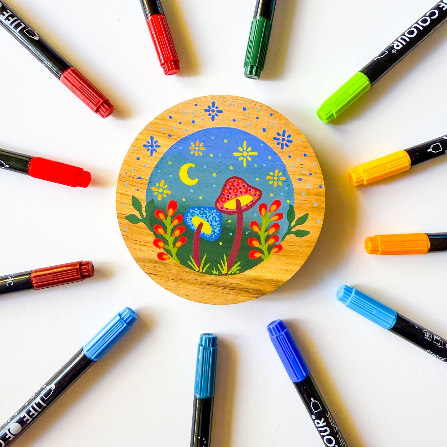 Wild Dots Acrylic Paint Pens -  Set of 12 Earth Colours