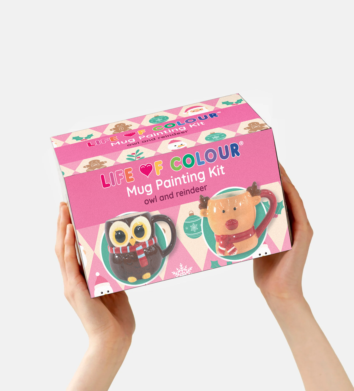 Christmas Mug Painting Kit - Owl and Reindeer