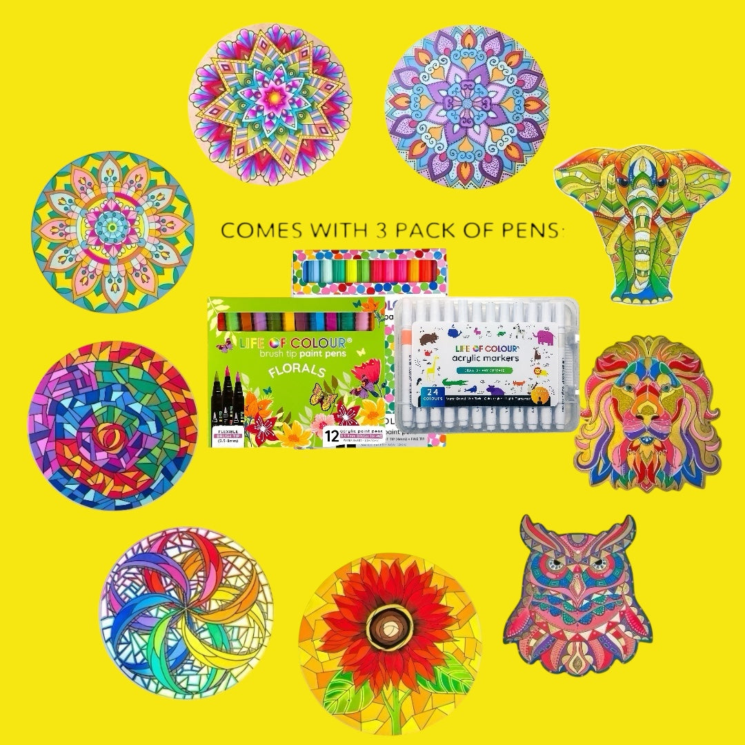 Life of Colour Ultimate Experience Painting Bundle - Bundle of 9