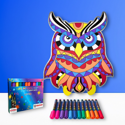 Life of Colour Owl Painting Kit