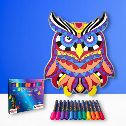 Life of Colour Owl Painting Kit