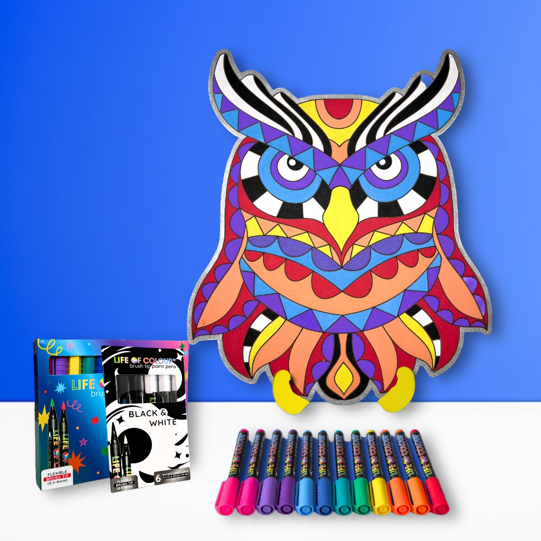 Life of Colour Owl Painting Kit