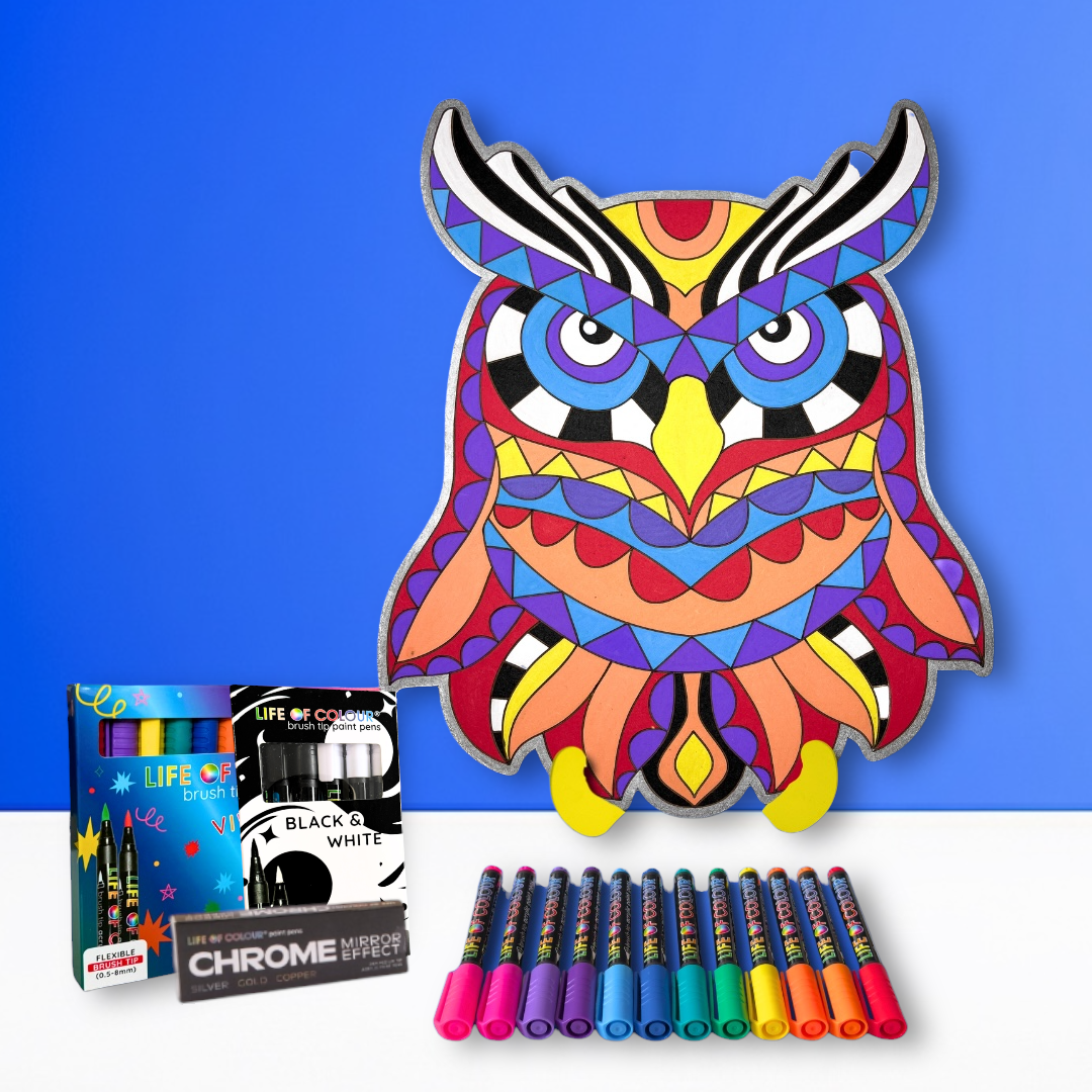 Life of Colour Owl Painting Kit