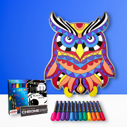 Life of Colour Owl Painting Kit