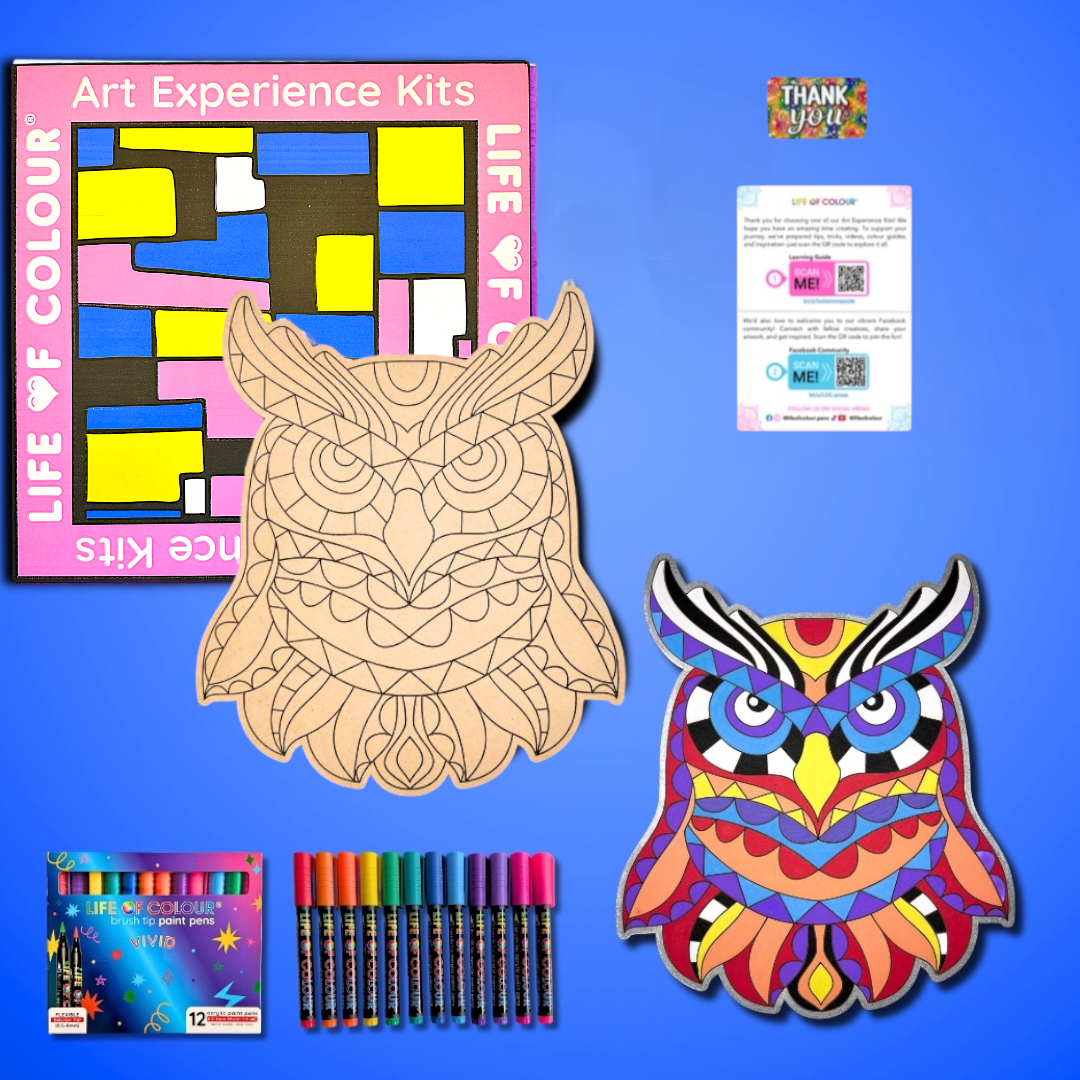 Life of Colour Owl Painting Kit