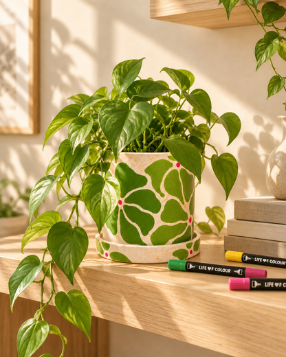 Jesmonite® x Life of Colour Creative Kit - Pot and Saucer