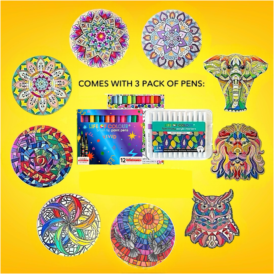 Life of Colour Ultimate Experience Painting Bundle - Bundle of 9