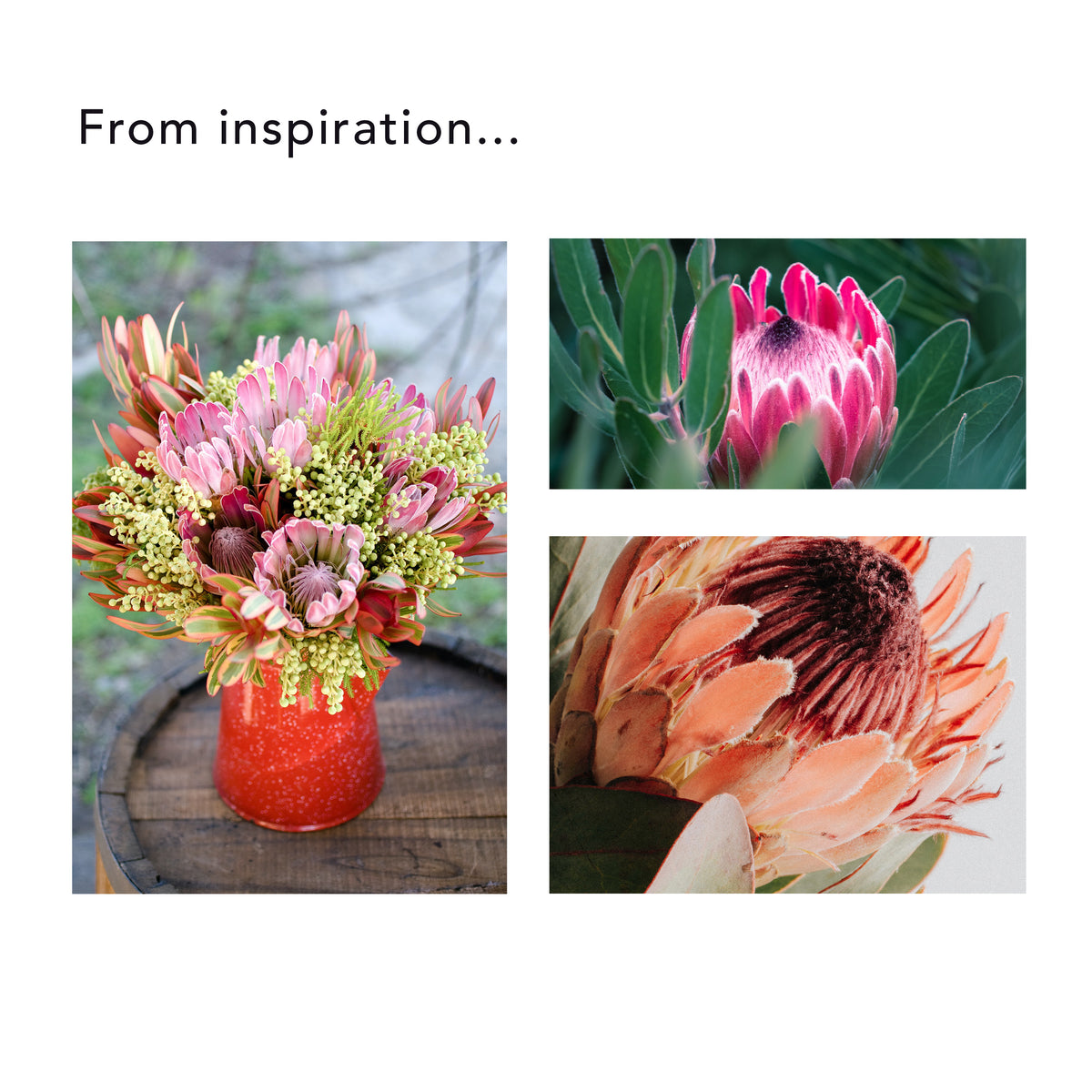 Protea in 3D Video Workshop - The Flower Project